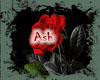 (ash) valentine rug