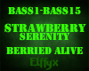 Strawberry Serenity