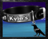 Kyle's Collar Dem