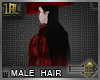 {[L]} Alucard Hair V.2