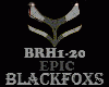 EPIC - BRH1-20
