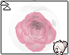 Yun| Rose Globe Pink