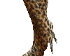 *SA* gold cheetah boots
