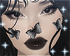 Midnight Fairy Butterfly