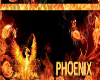 Phoenix Custom Hoodie
