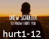 Drew Schueler- hurt you