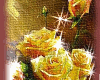 (R)Yellow rose pic