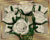 !LL! White Roses