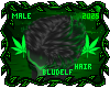 Kush Hair
