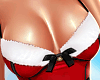 ♡ Santa Set