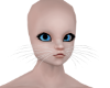 Kitten Male Head