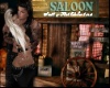 Saloon Frame