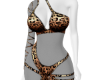 Sensual Leopard