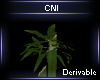 Derivable Plant V16
