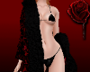 K | Lace Robe