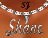 [[SJ]] Shane