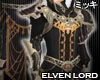 ! Elven Lord Coat III