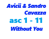 Avicii / Without You