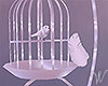 Dream Bird Cage