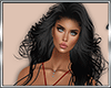 B* Join the Day BUNDLE