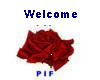 Welcome PIF