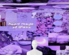 BG Purple Soft