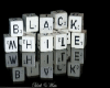 Black and white loft