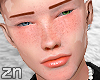 ✩ gin v1