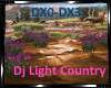 *Dj Light Country