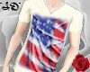 *ID* U.S.A. V T-Shirt