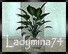 *LM*Sunset Plant II
