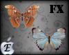 EDJ Butterfly 4 Enhancer