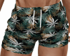 beach shorts-Erik