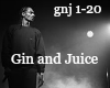 Snoop Dogg:Gin and Juice