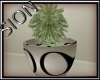 SIO- DERIVABLE Plant