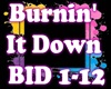 Burnin' It Down