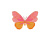 Butterflyyy Rug