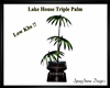 Triple Potted Palm Tree