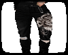 Cargos  Lion