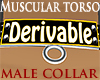 Derivable MT Male Collar