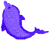 Purple Glittered Dolphin