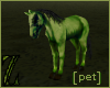 horse - Envy (Pet)
