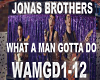 Jonas-WhatAManGottaDo