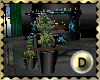 [my]D 3 Pots Plants