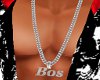 Bos Silver Chain