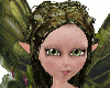 Elf Fairy of the Woods
