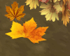 Animated autumn leaf