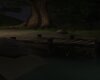Camping At Night