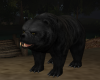 Northwoods Black Bear