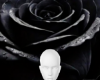 Black rose 5 bg